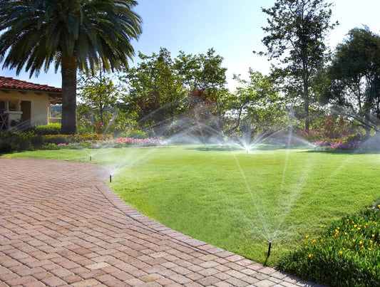 Embracing Fall in Florida: Gardening Tips for the Changing Season