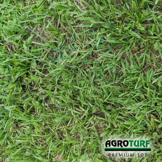 AgroTurf - Photo 1