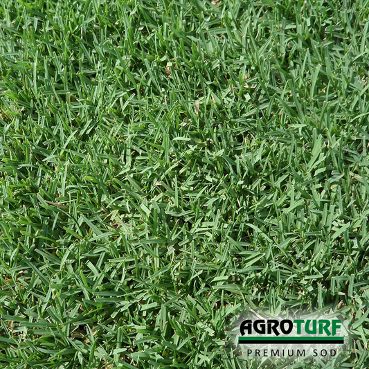 AgroTurf - Photo 3
