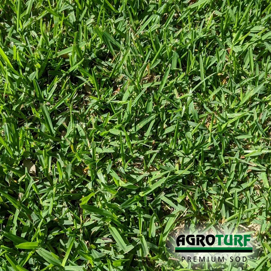 AgroTurf - Photo 4