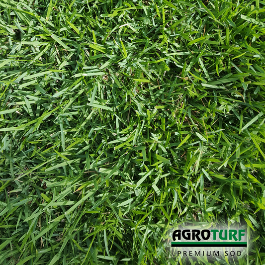 AgroTurf - Photo 5